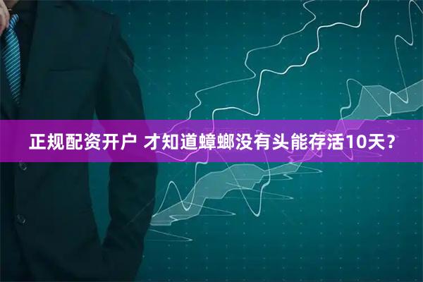 正规配资开户 才知道蟑螂没有头能存活10天？